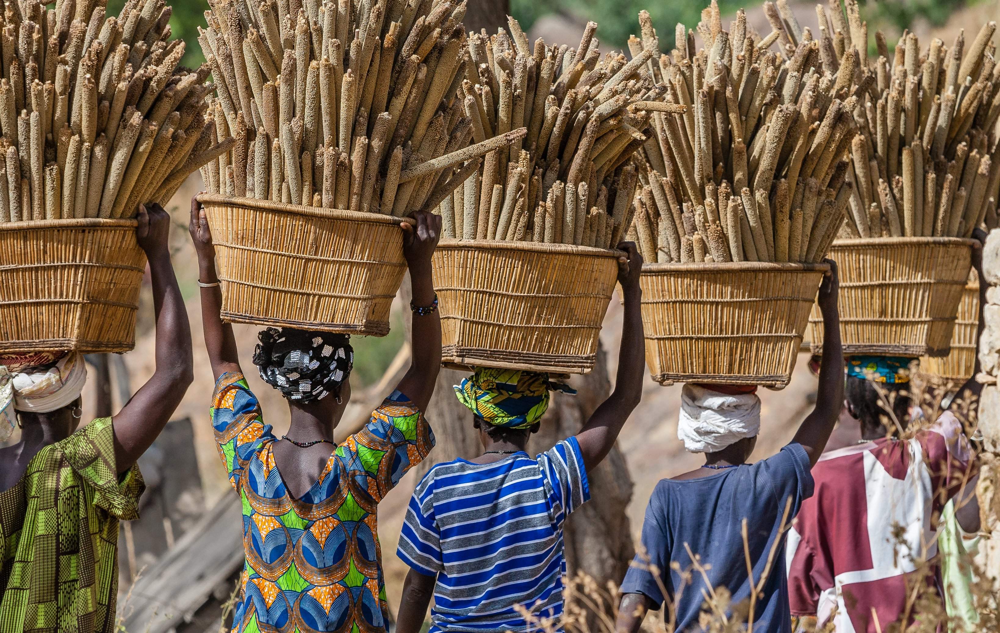 Africa: a continent of emerging opportunities